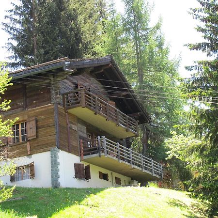 Chalet Nouchka Verb120 Villa Verbier Dış mekan fotoğraf